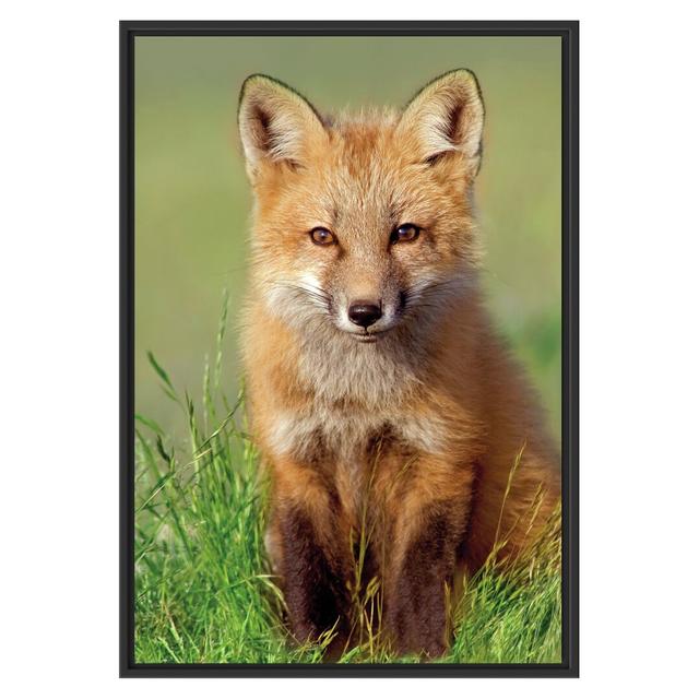 Gerahmtes Wandbild Kleiner Fuchs auf Wiese East Urban Home Größe: 100 cm H x 70 cm B on Productcaster.