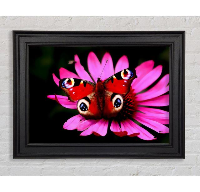 Single Picture Frame Art Prints August Grove Size: 84.1cm H x 142.2cm W on Productcaster.