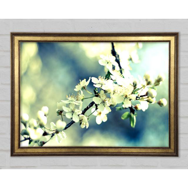 Spring Cherry Blossoms - Print Brayden Studio Size: 42cm H x 59.7cm W x 1.5cm D on Productcaster.