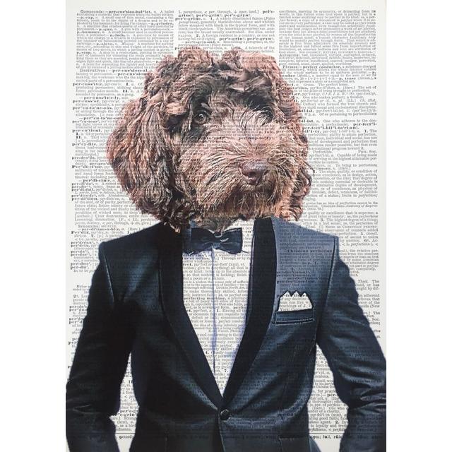 A3 Labradoodle Dictionary Print - Dog Wall Art Picture - Animal Dog In Clothes Happy Larry on Productcaster.