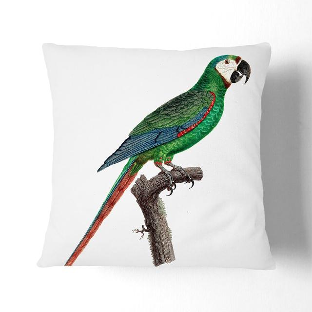 A Blue-Winged Macaw Parrot by F. Levaillant Cushion with Filling East Urban Home Backing Colour: Black, Size: 55 x 55 cm on Productcaster.