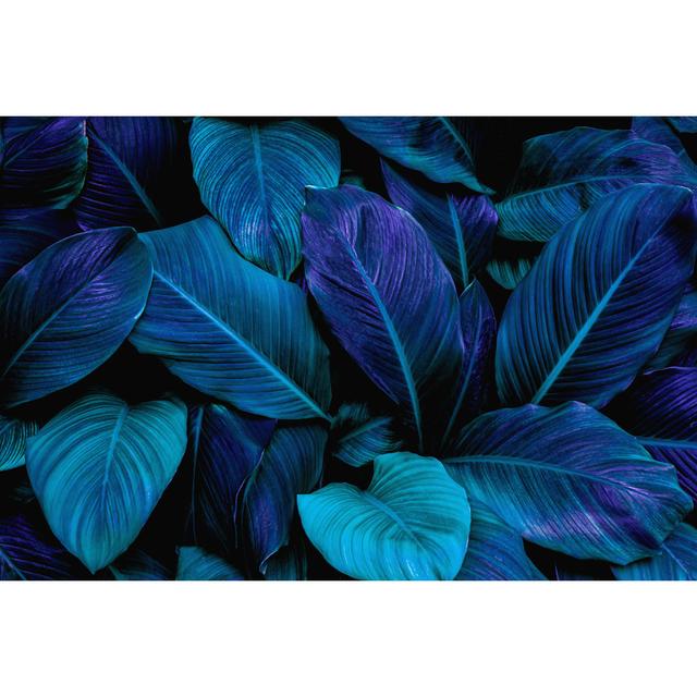 Talleysville Abstract Leaves Background - Wrapped Canvas Photograph 17 Stories Size: 51cm H x 76cm W x 3.8cm D on Productcaster.