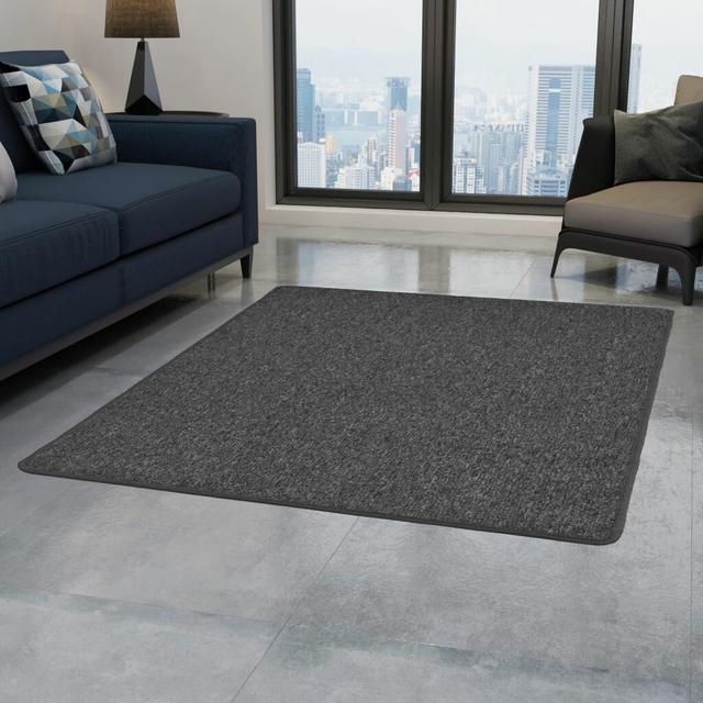 Shag Dark Grey Indoor/Outdoor Rug Symple Stuff Rug Size: Rectangle 160 x 230cm on Productcaster.