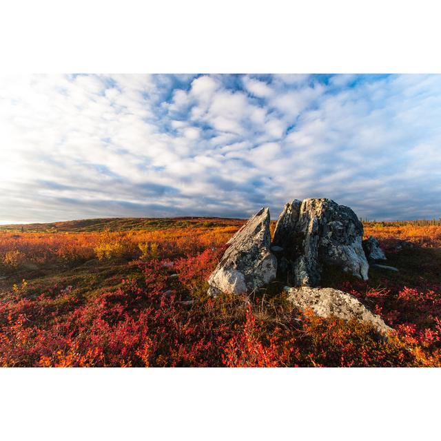 Hardinsburg Tundra Fall Colors by Troutnut - Wrapped Canvas Photograph Alpen Home Size: 51cm H x 76cm W x 3.8cm D on Productcaster.