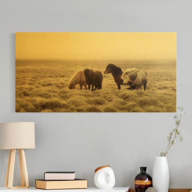 Icelandic Wild Horses by Monika Strigel - Wrapped Canvas Photograph Ebern Designs on Productcaster.