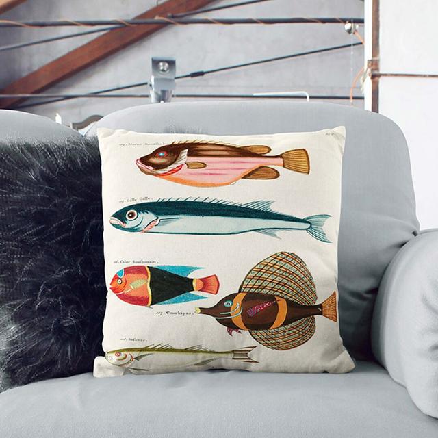 East Indies Fish Illustrations Fol. 19 by Louis Renard Cushion with Filling East Urban Home Size: 55cm H x 55cm W x 20cm D on Productcaster.