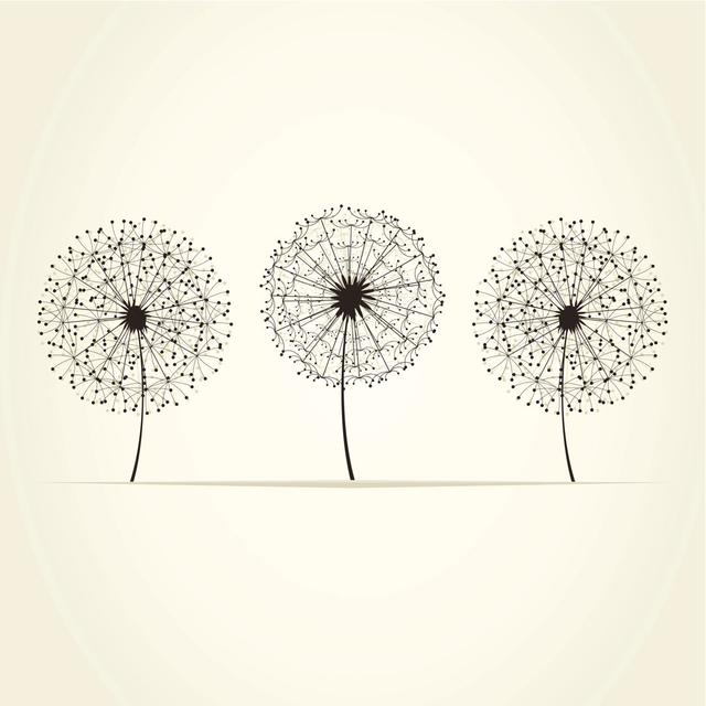 Three Dandelions Rosalind Wheeler Size: 122cm H x 122cm W x 3.8cm D on Productcaster.