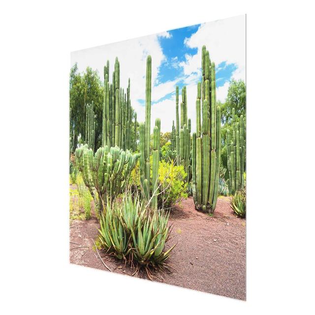 Cactus Landscape - Photograph Print on Glass East Urban Home Size: 50 cm H x 50 cm W on Productcaster.