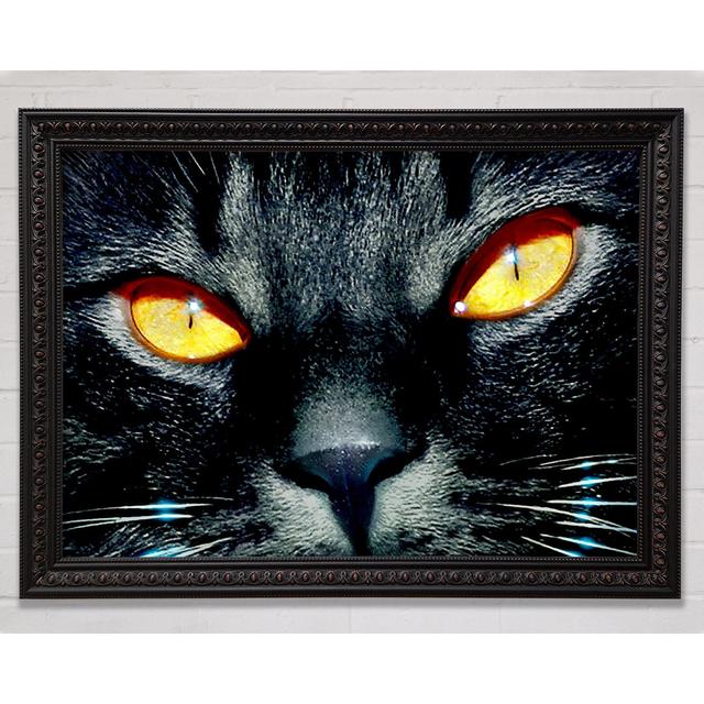 Cats Eyes Framed Print Bright Star Size: 29.7cm H x 42cm W on Productcaster.