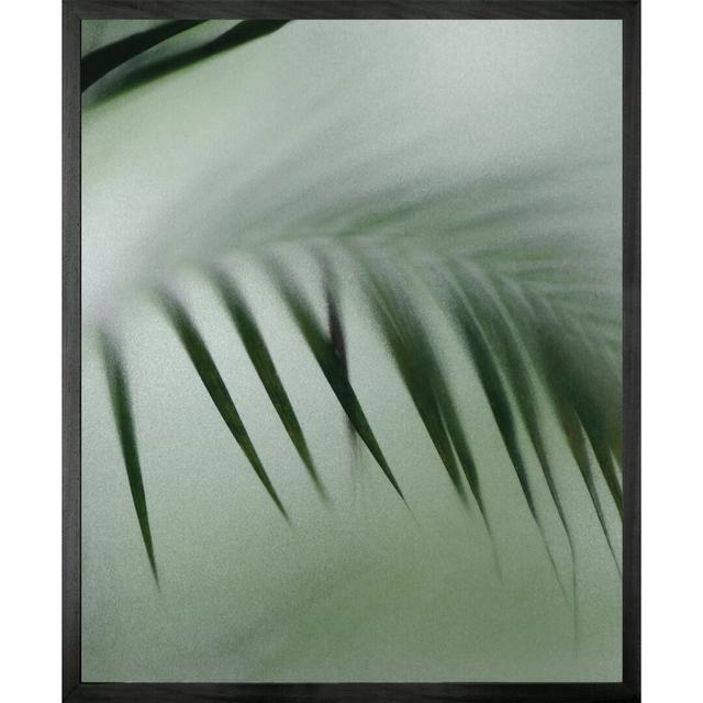 Palm Etch 8 - Picture Frame Graphic Art on Canvas Bay Isle Home on Productcaster.