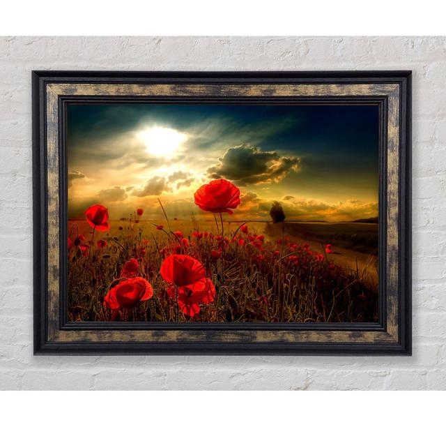 Sunlight - Single Picture Frame Art Prints Bright Star Size: 29.7cm H x 42cm W x 8cm D on Productcaster.