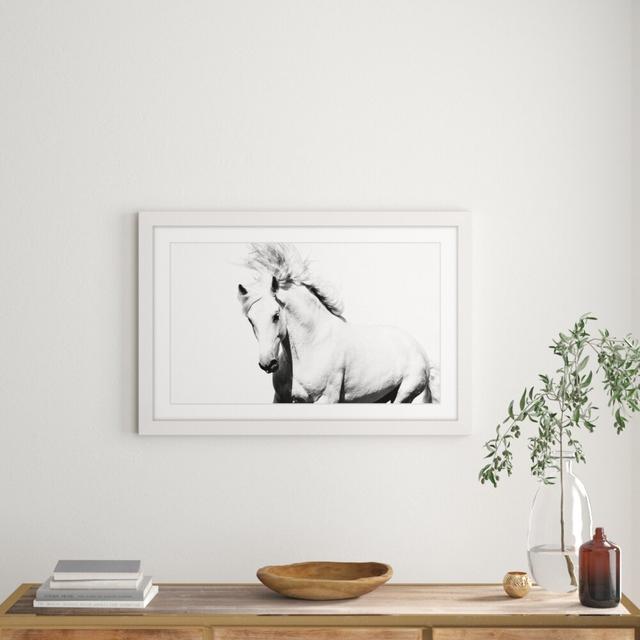 Glorious Stallion - Picture Frame Photograph Print on Paper East Urban Home Size: 61cm H x 91cm W on Productcaster.