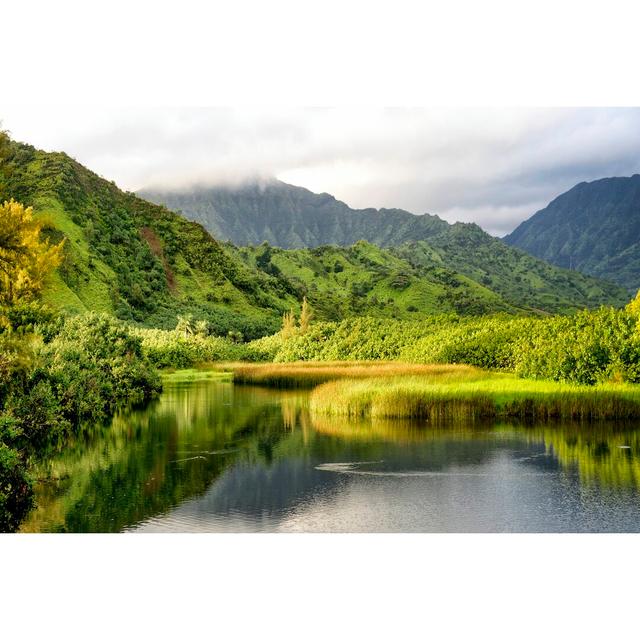 Coastal Marsh I - Wrapped Canvas Photograph Alpen Home Size: 61cm H x 91cm W on Productcaster.