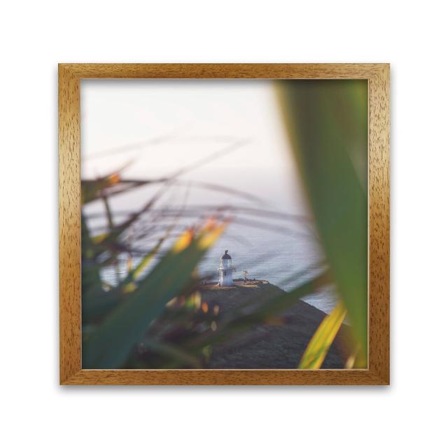 Cape Reinga 1 by Nur Mut - Picture Frame Photograph Print on Paper Breakwater Bay Size: 30 cm H x 30 cm W, Frame Options: Honey Oak on Productcaster.