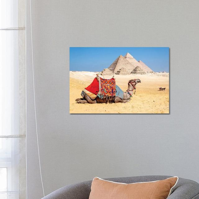 Camel Resting By The Pyramids, Giza, Egypt Natur Pur Size: 45.72cm H x 66.04cm W x 1.91cm D on Productcaster.