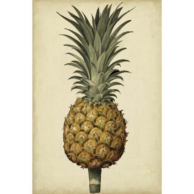 Brookshaw Antique Pineapple II by George Brookshaw - Wrapped Canvas Painting Print Blue Elephant Size: 122cm H x 81cm W on Productcaster.