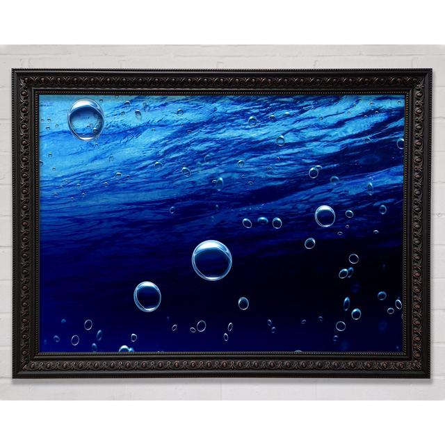 Underwater Bubbles Framed Print Bright Star Size: 42cm H x 59.7cm W on Productcaster.