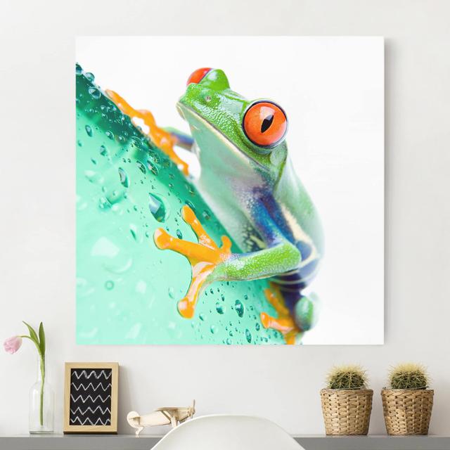 Frog - Wrapped Canvas Art Print Rosalind Wheeler Format: Canvas 260g/m², Size: 40cm H x 40cm W on Productcaster.