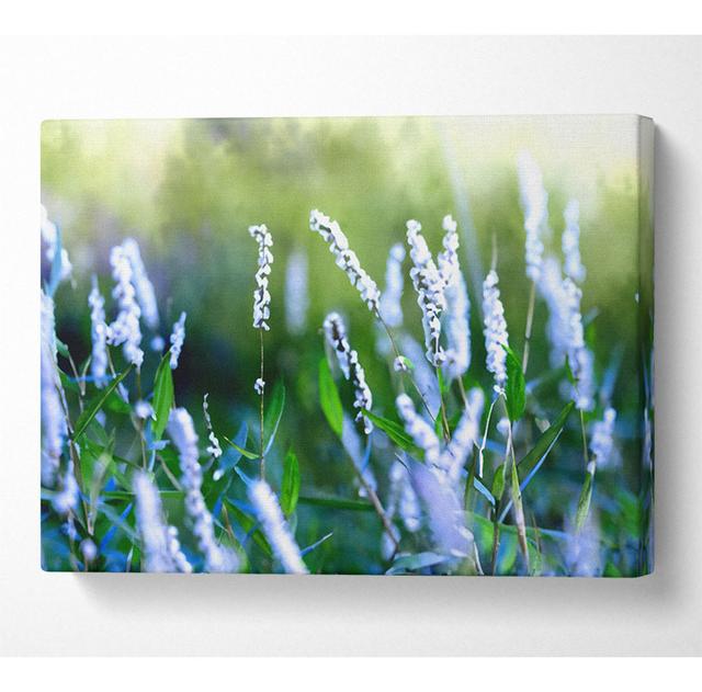 Wrapped Canvas Art Prints Latitude Run Size: 50.8cm H x 81.3cm W x 10cm D on Productcaster.