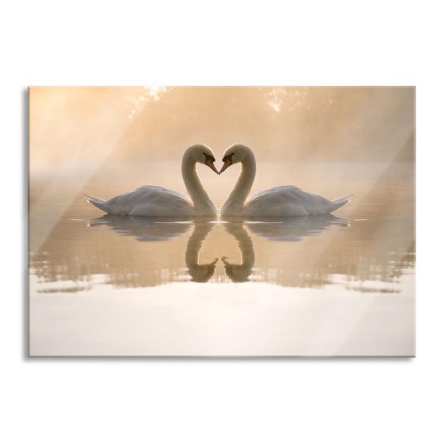 Swans At Dawn - No Frame Print on Glass Brayden Studio Size: 60cm H x 80cm W x 0.4cm D on Productcaster.