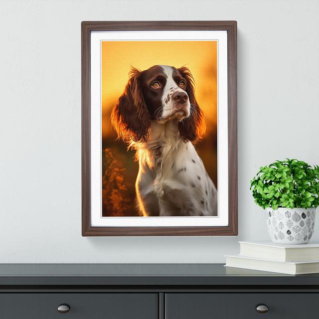 English Springer Spaniel Colour Field - Single Picture Frame Print on Wood 17 Stories Size: 64cm H x 46cm W x 2cm D, Frame Colour: Walnut on Productcaster.