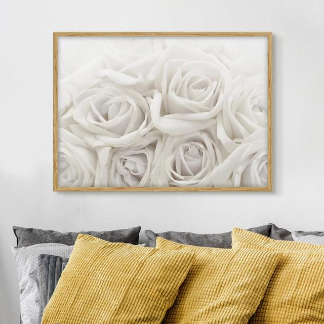 White Roses - Picture Frame Graphic Art Mercer41 Size: 70cm H x 100cm W x 2cm D, Frame Option: Brown Framed on Productcaster.