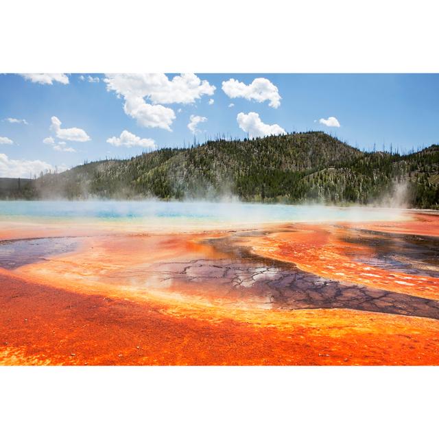 The Grand Prismatic In The Spring Time by Davemantel - Print Alpen Home Size: 61cm H x 91cm W x 3.8cm D on Productcaster.