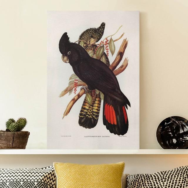 Black and Gold Black Cockatoo - Wrapped Canvas Graphic Art Bay Isle Home Size: 150cm H x 100cm W, Format: 330g/m³ Recycled Canvas on Productcaster.