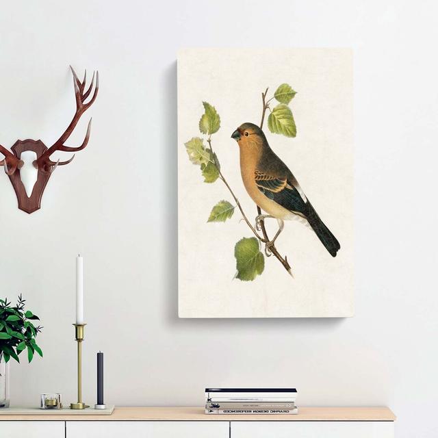 Eurasian Bullfinch by Von Wright - Wrapped Canvas Painting East Urban Home Size: 50cm H x 35cm W x 3cm D on Productcaster.