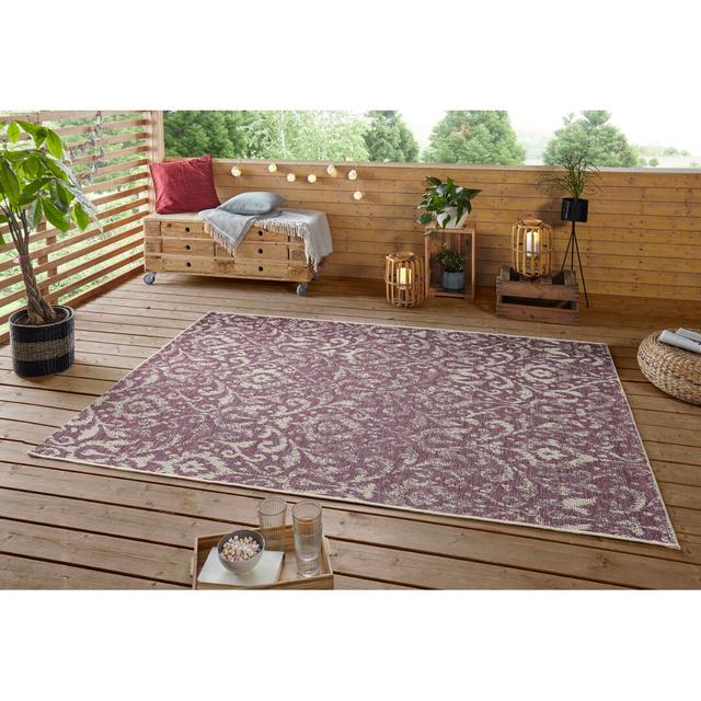 Hatta In- und Outdoor Teppich Orient - Wetterfest Orientalisch für Garten, Balkon - Lila Taupe Northrugs Teppichgröße: Rechteckig 230 x 330 cm on Productcaster.