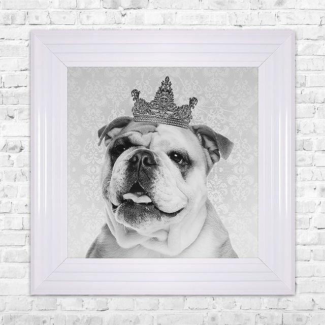 'British Bulldog' Framed Graphic Art Print East Urban Home Size: 55cm H x 55cm W, Format: White Framed on Productcaster.