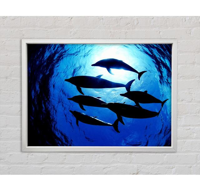 Family Of Dolphins - Single Picture Frame Art Prints on Canvas Highland Dunes Size: 84.1cm H x 118.9cm W x 3.3cm D on Productcaster.