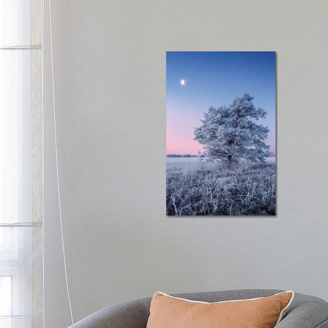 Hoar Frost by Lauri Lohi - Wrapped Canvas Print Latitude Run Size: 66.04cm H x 45.72cm W x 1.91cm D on Productcaster.