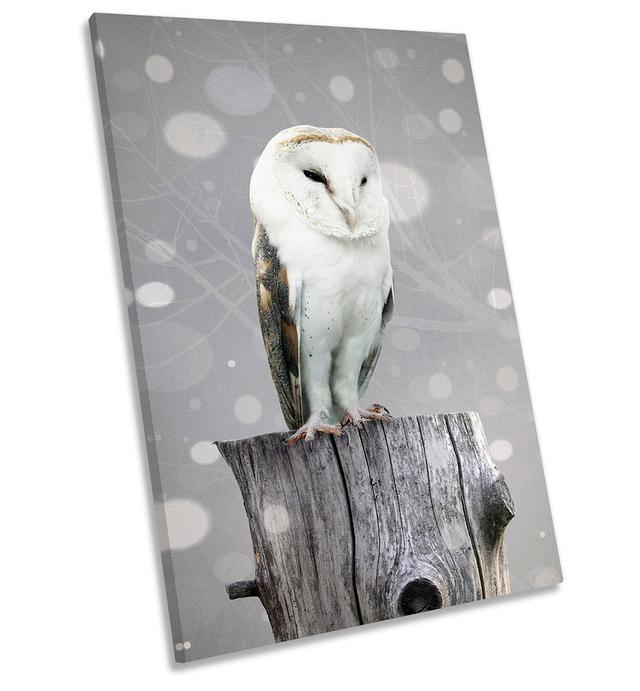 Barn Owl - Wrapped Canvas Graphic Art Happy Larry Size: 76.2cm H x 50.8cm W x 2cm D on Productcaster.