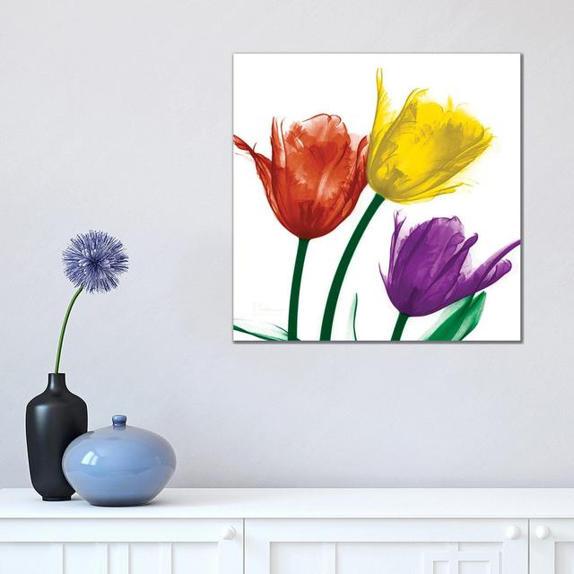 Shiny Jewel Tulips II by Albert Koetsier - Wrapped Canvas Painting Rosalind Wheeler Size: 45.72cm H x 45.72cm W x 1.91cm D on Productcaster.