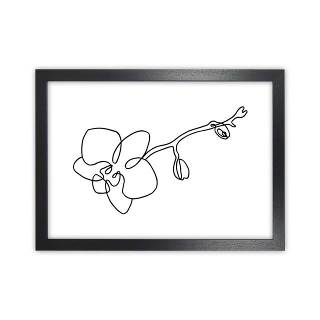 Orchid - Graphic Art Print on Paper 17 Stories Frame Option: Black Frame, Size: 25cm H x 33.7cm W x 3cm D on Productcaster.