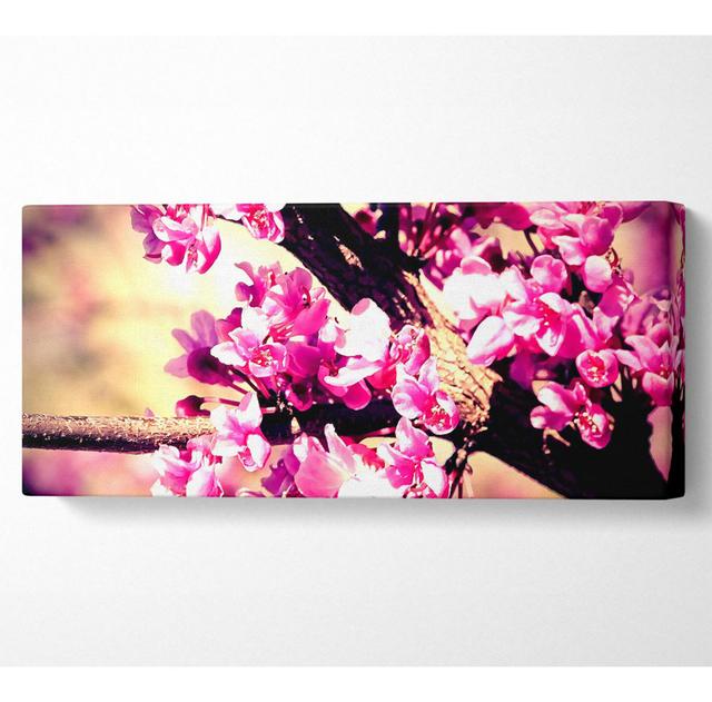 Pink Blossom - Wrapped Canvas Art Prints Rosalind Wheeler Size: 50.8cm H x 121.9cm W x 10cm D on Productcaster.