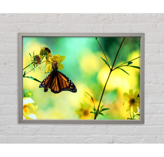 Monarch Schmetterling auf einer gelben Blume - Einzelner Bilderrahmen Kunstdrucke auf Leinwand Bright Star Größe: 59,7 cm H x 84,1 cm B x 3,3 cm T on Productcaster.