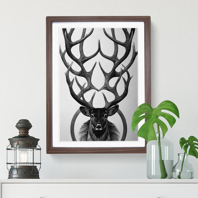 XV1022-2870X Monochrome Stag No.4 - Print Alpen Home Format: Walnut Framed Paper, Size: 66cm H x 48cm W on Productcaster.