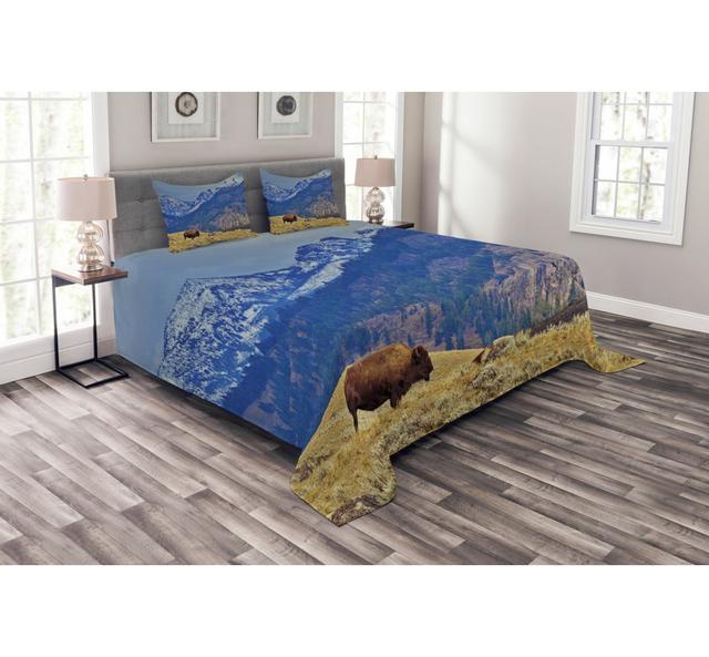 Micheal No Pattern Bedspread with Pillow Shams Union Rustic Size: 220 x 264 cm on Productcaster.