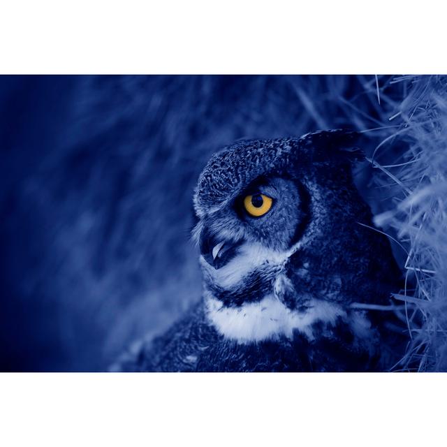 Hooting Owl At Night by ZE14361 - No Frame Art Prints on Canvas Alpen Home Size: 20cm H x 30cm W on Productcaster.