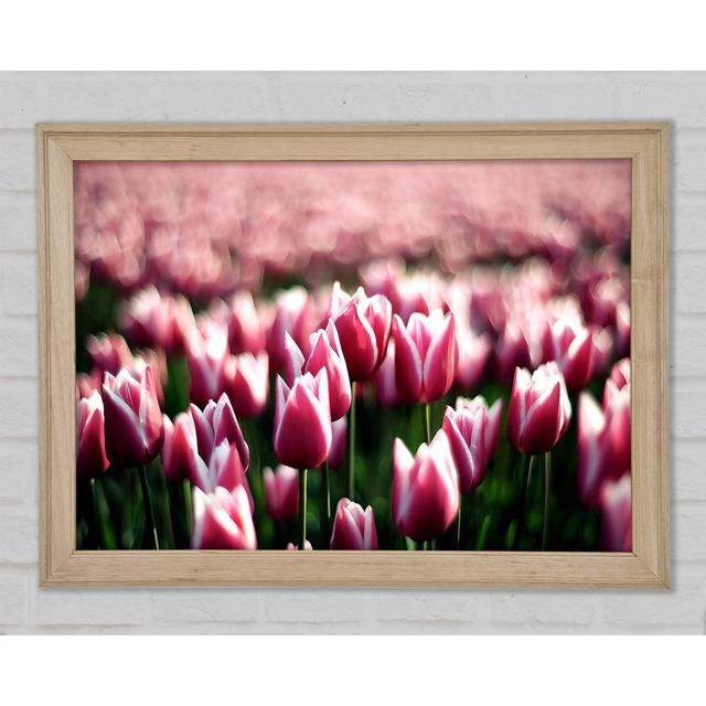 Single Picture Frame Art Prints Ebern Designs Size: 59.7cm H x 84.1cm W on Productcaster.