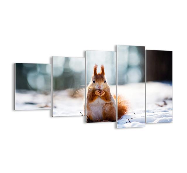 What Are You Looking at? - 5 Piece Unframed Photograph Print Set on Glass Union Rustic Size: 60cm H x 100cm W x 1.8cm D on Productcaster.