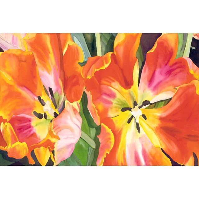 Two Parrot Tulips On CGP by Leslie Gertsman - Wrapped Canvas Art Prints Marlow Home Co. Size: 51cm H x 76cm W x 3.8cm D on Productcaster.