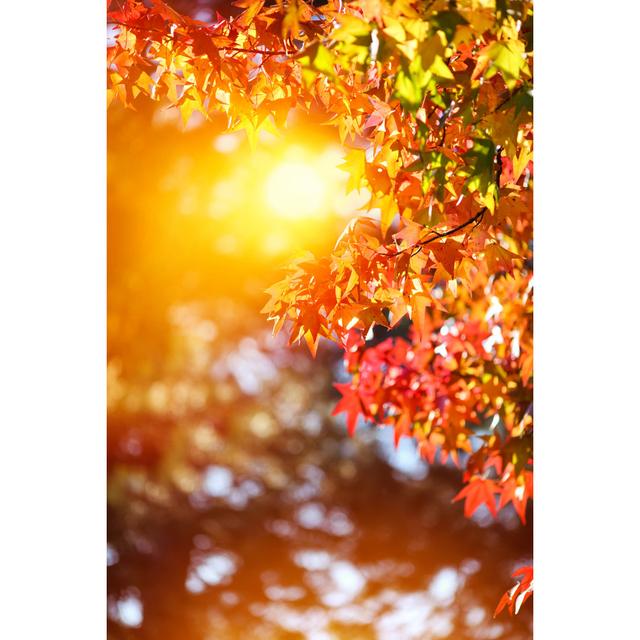 Japanese Autumn Colors by Bgfoto - No Frame Art Prints on Canvas 17 Stories Size: 91cm H x 61cm W on Productcaster.