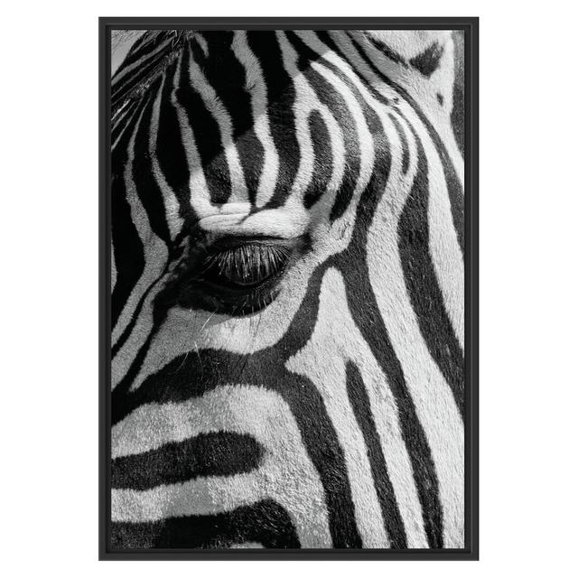 Gerahmtes Wandbild Zebra Porträt East Urban Home Größe: 100 cm H x 70 cm B on Productcaster.