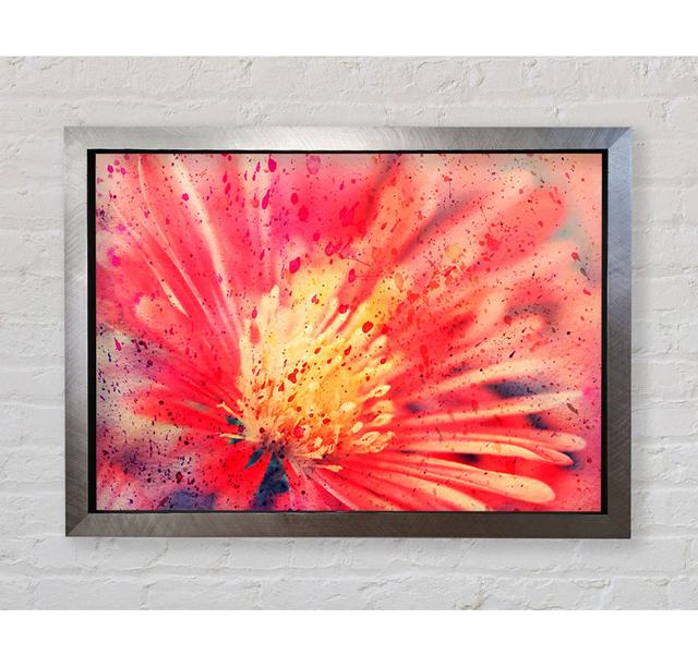 Stunning Red Flower With Yellow Center - Single Picture Frame Art Prints Bright Star Size: 59.7cm H x 84.1cm W x 3.4cm D on Productcaster.