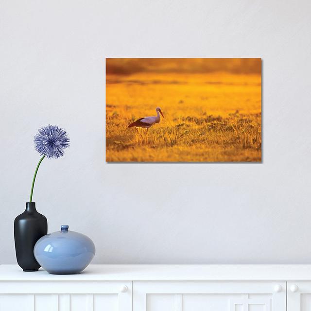 White Stork At Sunrise by Mateusz Piesiak - Wrapped Canvas Print Latitude Run Size: 30.48cm H x 45.72cm W x 1.905cm D on Productcaster.