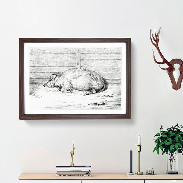 A Sleeping Pig by Jean Bernard - Picture Frame Drawing Print on Paper East Urban Home Frame Option: Walnut Framed, Size: 33cm H x 45cm W x 2cm D on Productcaster.