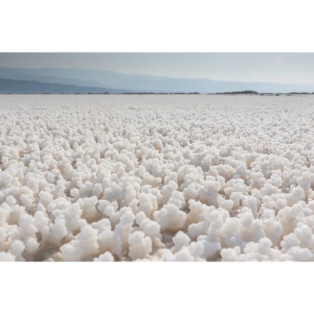 Dried Lake Surface, Djibouti by VUSLimited - Wrapped Canvas Print 17 Stories Size: 30cm H x 46cm W on Productcaster.